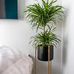 Apartment Medus - Mano Jura 2 Kunigiskiai - By Hello Sea Homes