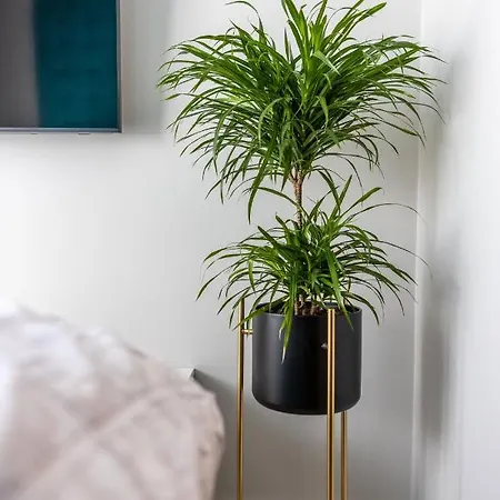 Butas Medus - Mano Jura 2 Kunigiskiai - By Hello Sea Homes