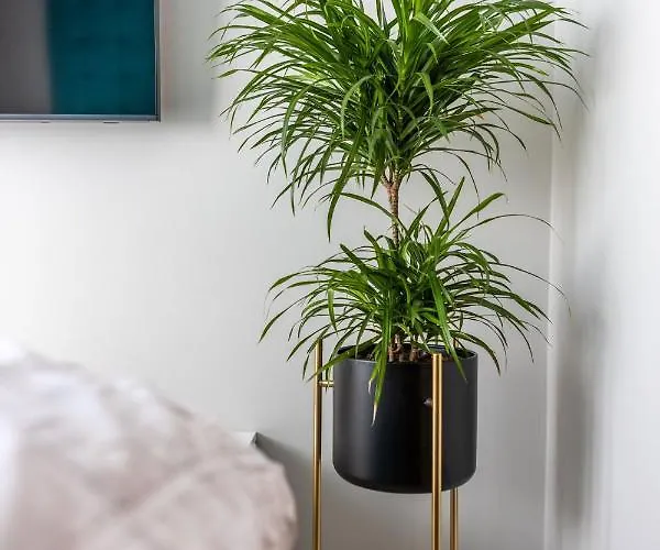 Appartamento Medus - Mano Jura 2 Kunigiskiai - By Hello Sea Homes